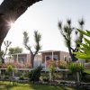 Esterno di bungalow tra piante e fiori.