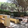 Area barbecue in un bosco con tavoli in cemento e griglia.