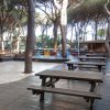 Tavoli da picnic di legno su una terrazza, circondati da pini e sedie colorate.