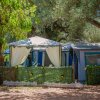Una tenda da campeggio con gazebo bianco e siepe decorativa con fiori gialli.